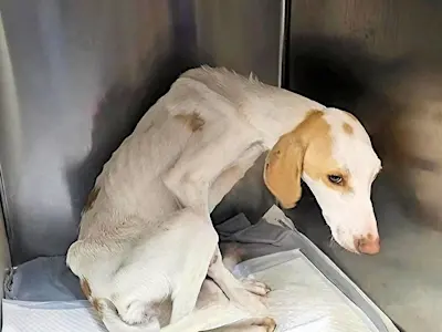 Fiona Marie Ankunft 1