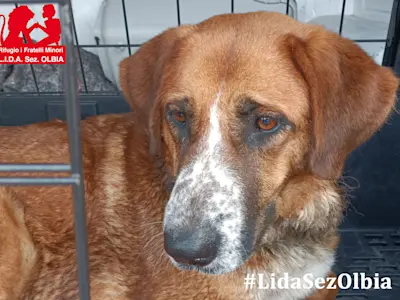 340655535 236823028868702 7817305051136230713 n