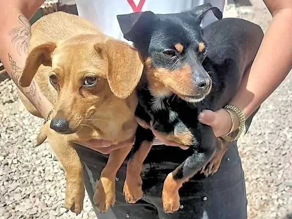 Miriana Mirò Unai 2