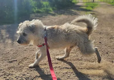 WhatsApp Bild 2024-11-26 um 18.41.59 14f3da76