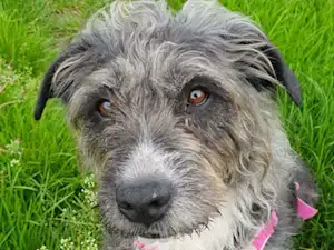 Bild von Salvatorica