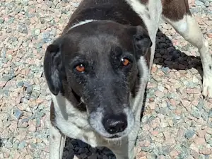 Bild von Santa Maria