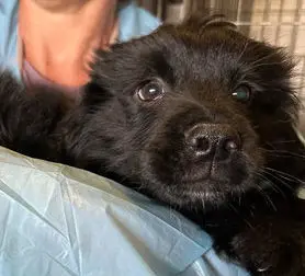 Bernardo Mai23 03 01