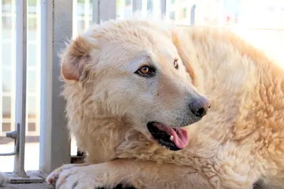 Providence bearbeiten