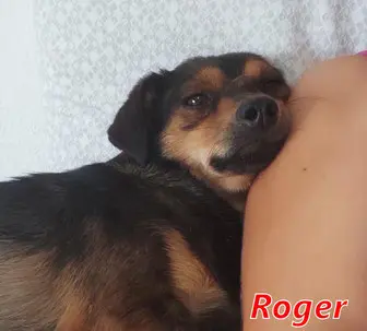 Roger-43