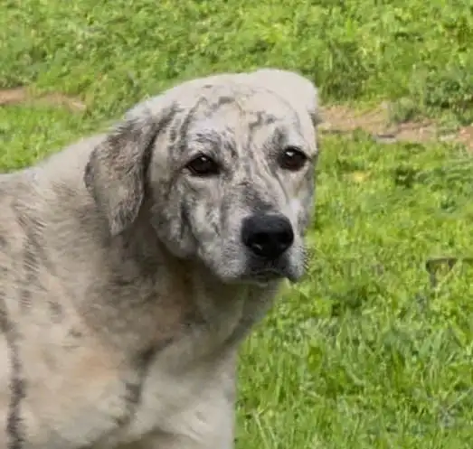 WhatsApp Image 2026-02-28 at 09.41.42