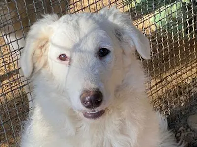 Galadriel Juli22 05 1