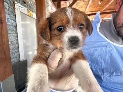 Glückspilze Mädel2 425 3