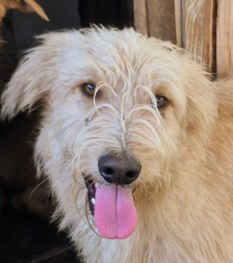 WhatsApp Image 2026-01-03 at 22.18.40