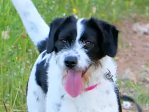 Bild von Diana Marie