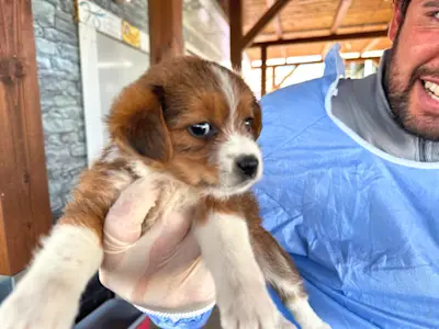 Glückspilze Mädel2 425 2