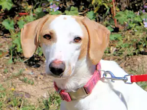 Bild von Fiona Marie