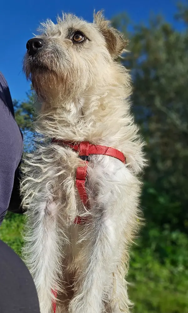 WhatsApp Bild 2024-11-26 um 18.42.00 293db151