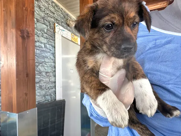 Glückspilze Mädel1 425 1