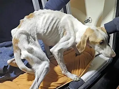 Fiona Marie Ankunft 2