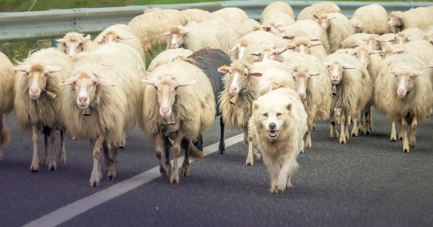 Besondere Geschichte HP 1440x756