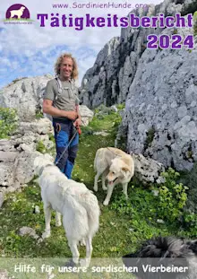 Cover-tätigkeitsbericht 2024