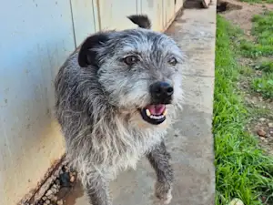 Bild von Cesare Matteo