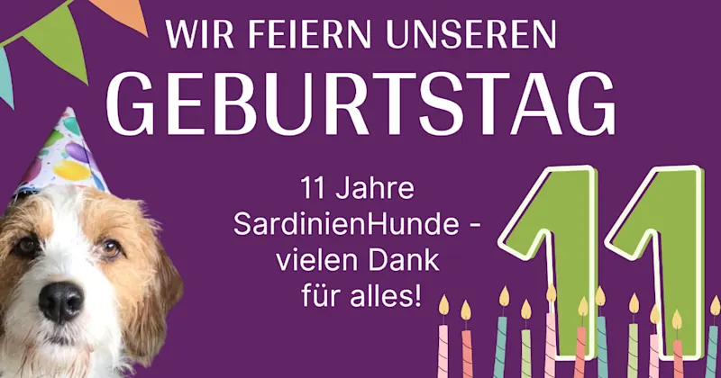 Geburtstags banner1263