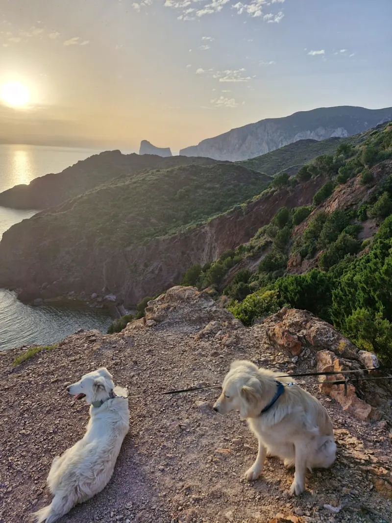 WhatsApp Image 2025-05-11 at 09.02.45 (1)