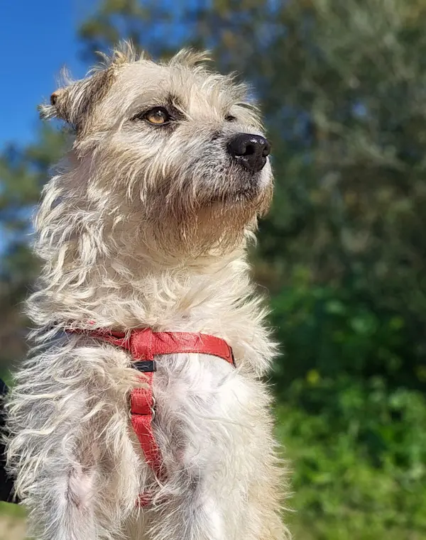 WhatsApp Bild 2024-11-26 um 18.42.00 04df9ef7