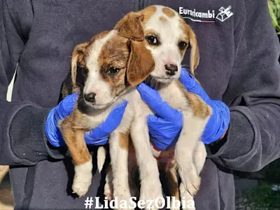 MartaundMartina 1125 1263