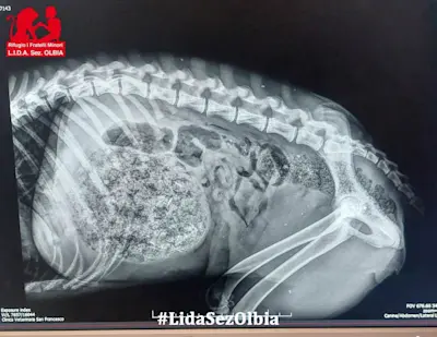 WhatsApp Image 2025-11-14 at 19.44.09w