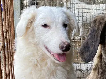 Galadriel Jan23 01 1