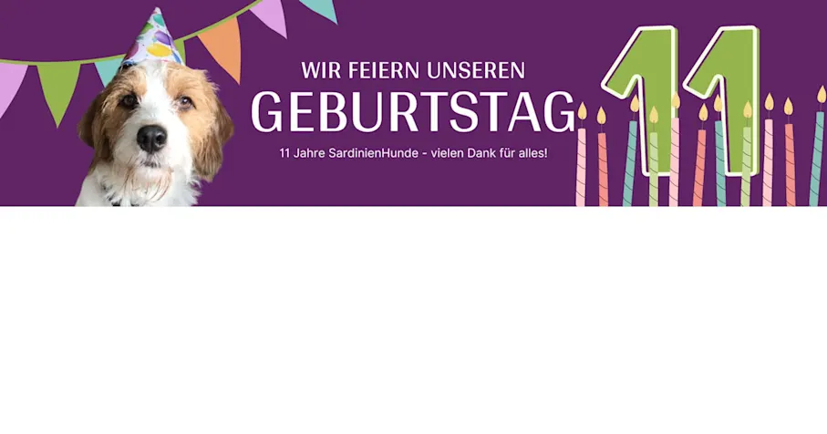Banner Geburtstag