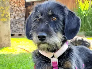 Bild von Nerina Spinoncina