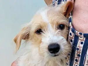 Bild von Antò Bella