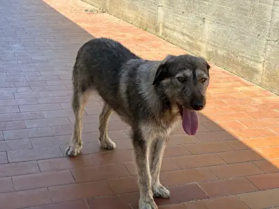 Mirta 626 3