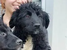 Lidina Feb23Ende 02 2