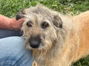 Bild von Melita