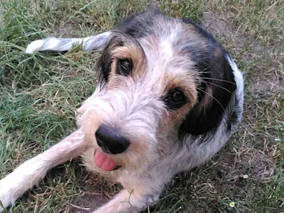 Brida Juli23 04 43 p