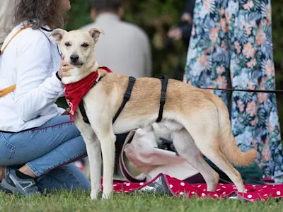 GiovanniPiccolo 925 5