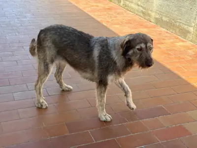 Mirta 626 2