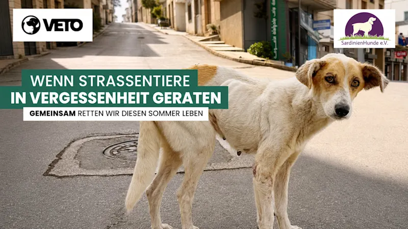 Vergessen