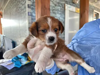 Glückspilze Mädel2 425 1