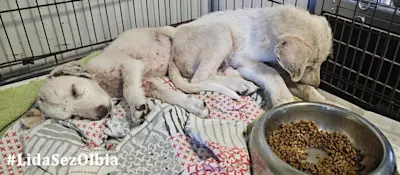 AlessioAlessia 725 1