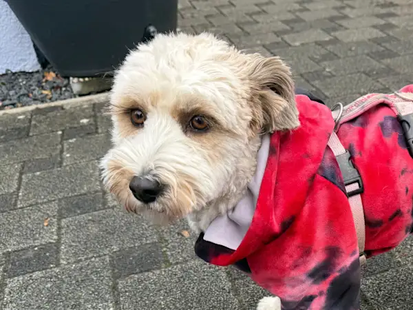 Bild von Kitty Marie