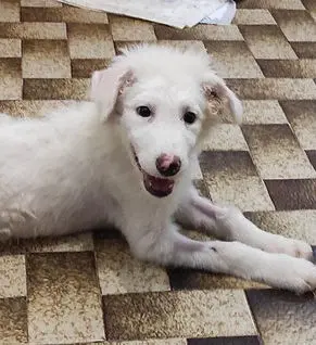 Galadriel Juli22 01 1