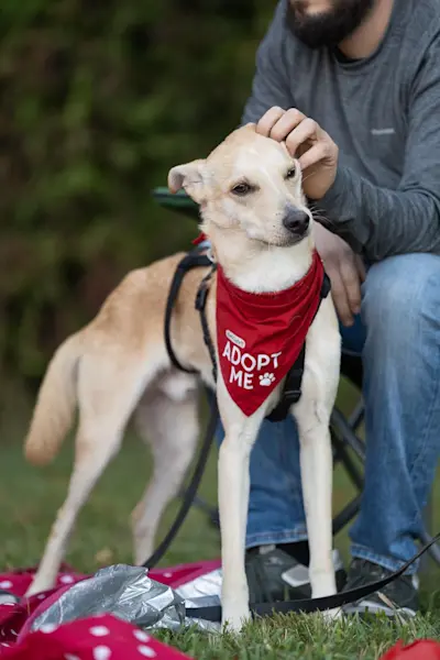 GiovanniPiccolo 925 2