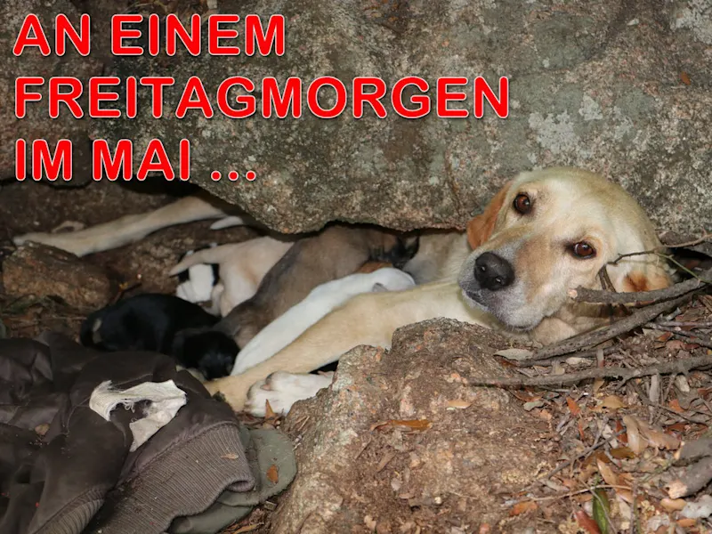 An einem Freitagmorgen im Mai