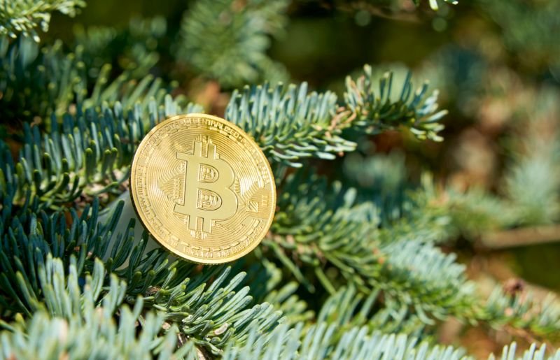 What Did Santa Claus Leave Under the Christmas Tree for Crypto Investors?
