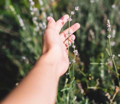 Hand touching flower