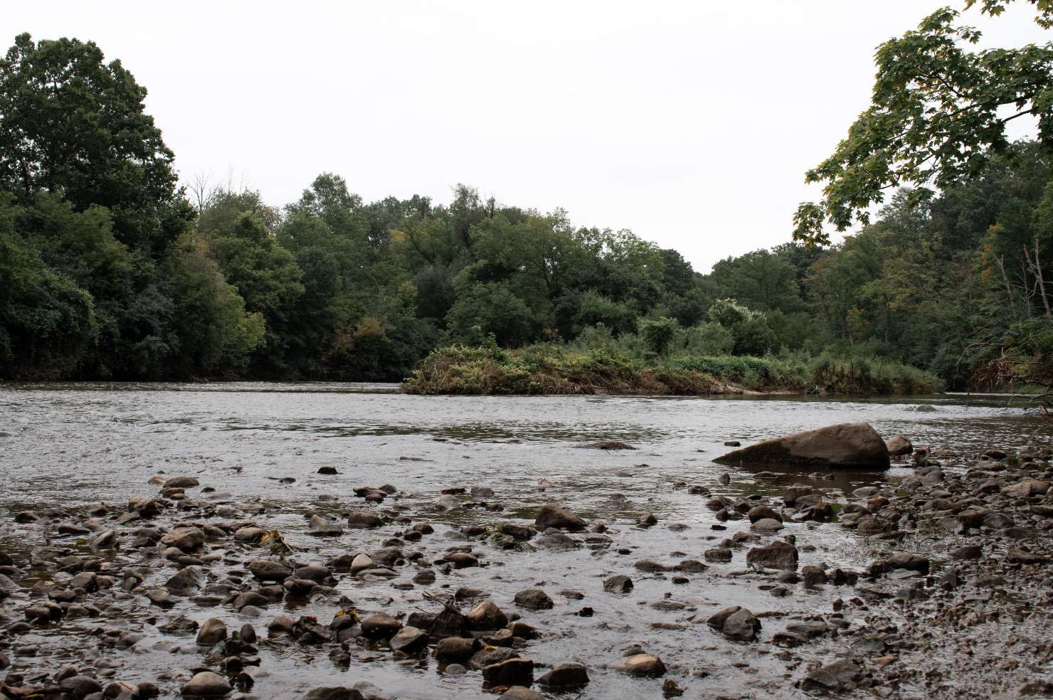 Rocky water shallow river