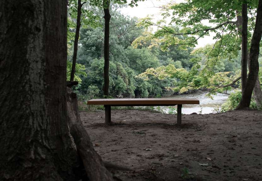 Bench in a wood trail