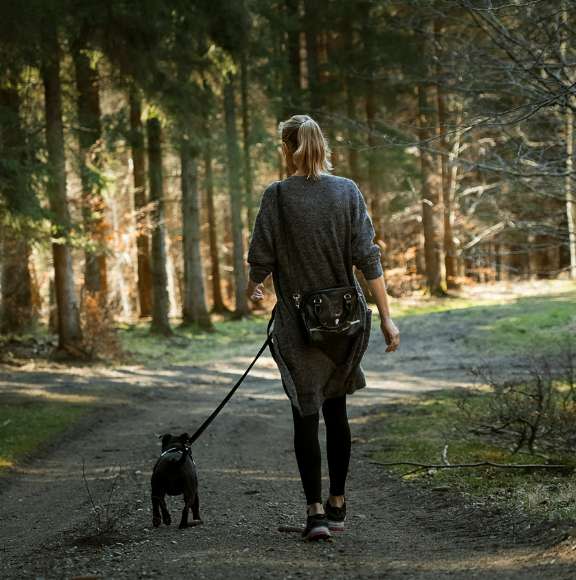 Walking a dog on trail