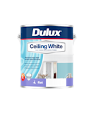Ceiling White